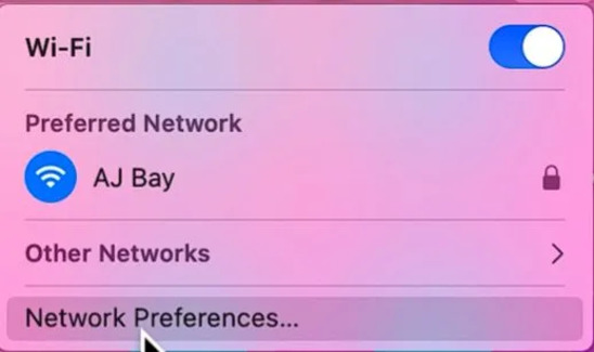 Select Open Network Preferences from the drop-down menu